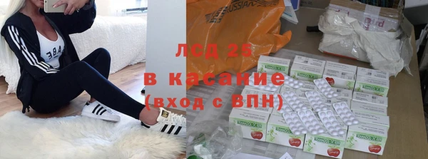 стаф Богородск