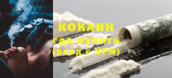 ECSTASY Богданович