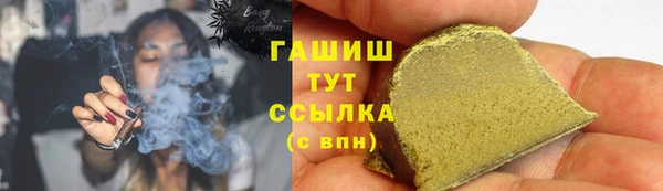 спиды Богородицк