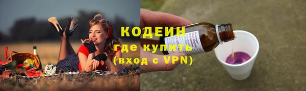 ECSTASY Богданович