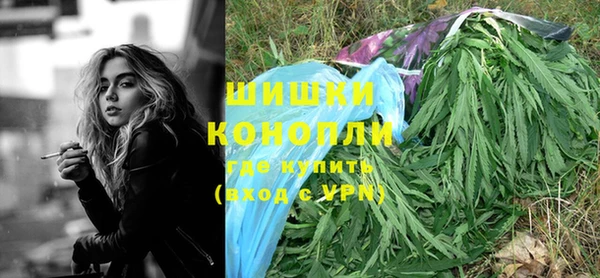стаф Богородск