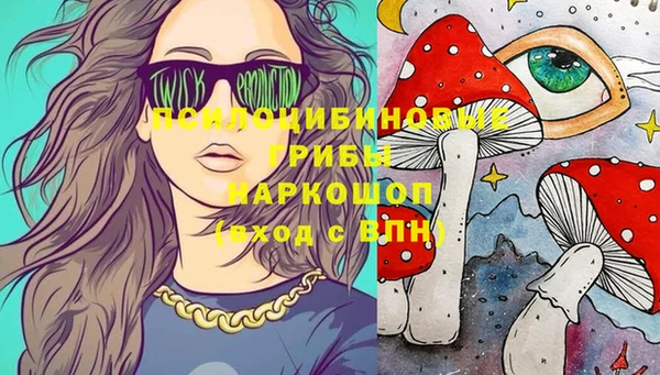 спиды Богородицк
