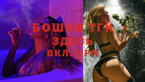 спиды Богородицк
