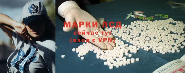 ECSTASY Богданович
