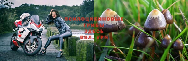 спиды Богородицк